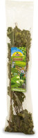 JR FARM Ein Stück Natur, Haselnuss- Ernte 40g