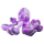 KONG Softseas Octopus S
