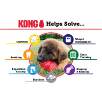 KONG Puppy M diverse Farben
