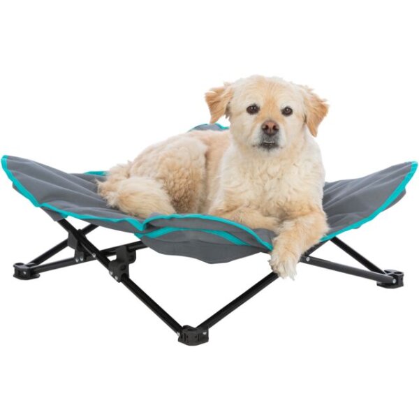Trixie Camping-Bett für Hunde, 88 x 32 x 88cm, dunkelgrau/petrol