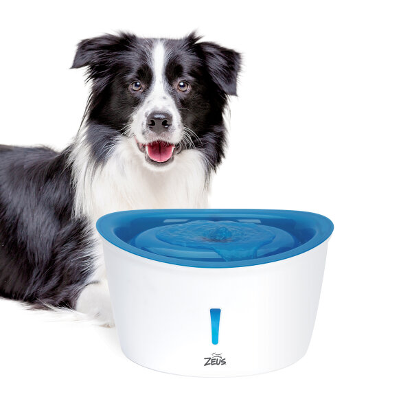 Zeus Trinkbrunnen 6 Liter