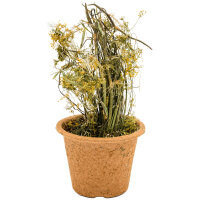 JR FARM Kräuter Topf 85g