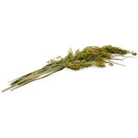 JR FARM Birds Rispenhirse 400g
