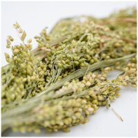 JR FARM Birds Rispenhirse 400g