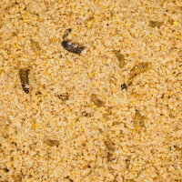 JR FARM Garden Bark-Butter Soldatenfliegen 2kg