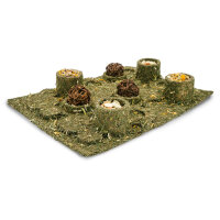 JR FARM "Back to Instinct" XXL Fun-Park 430g