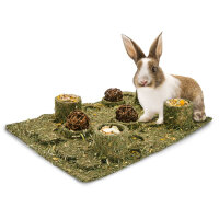 JR FARM "Back to Instinct" XXL Fun-Park 430g