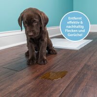 ARKA Pipi-Weg, Urin- & Fleckenentferner Hund 750ml