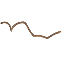 Hobby Band Liane 90-100cm
