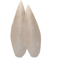 Hobby Sepia Bone (ca. 20-25cm) 2 Stück