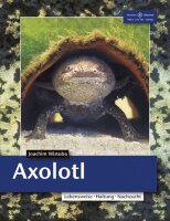 NTV- Axolotl Buch