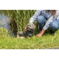 Trixie Bademantel für Hunde, Frottee, XS:30cm, grau