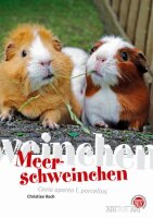 NTV Art für Art Meerschweinchen (Christian Koch)