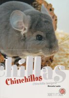 NTV Art für Art Chinchillas (Manuela Laabs)