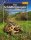NTV Das Schildkrötenjahr (Michael Wirth)