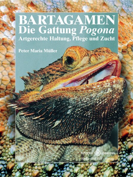 NTV Bartagamen, Die Gattung Pogona (Peter Maria Müller)