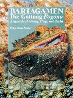 NTV Bartagamen, Die Gattung Pogona (Peter Maria Müller)