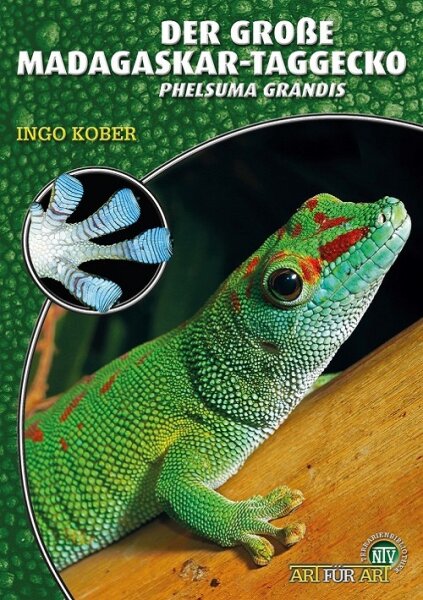 NTV Art für Art Der große Madagaskar- Taggecko (Ingo Kober)