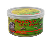 Lucky Reptile Herp Diner, Calci Worm 35g