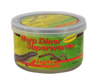 Lucky Reptile Herp Diner, Super Worms 35g