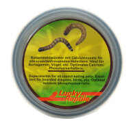 Lucky Reptile Herp Diner, Super Worms 35g