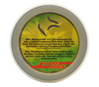 Lucky Reptile Herp Diner, Mini Mealworms 35g