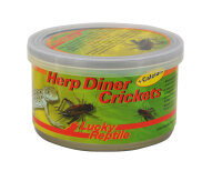 Lucky Reptile Herp Diner, Crickets groß 35g