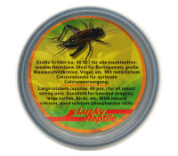 Lucky Reptile Herp Diner, Crickets groß 35g