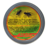 Lucky Reptile Herp Diner, Crickets klein 35g