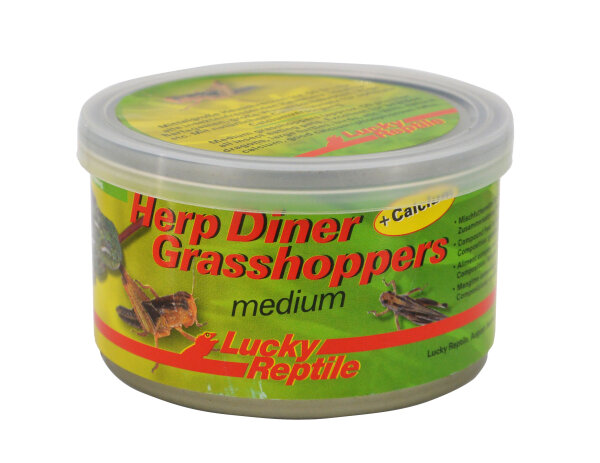 Lucky Reptile Herp Diner, Grasshoppers mittel 35g