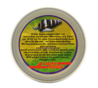 Lucky Reptile Herp Diner, Snails 35g