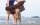 DRYUP towel handpockets brown