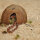 HabiStat Snake Bedding, Schlangen Substrat 10 Liter