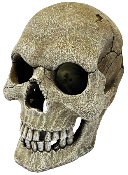 Repto Deko Human Skull XL