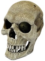 Repto Deko Human Skull XL