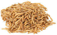 Mehlwürmer, getrocknet, 70 g