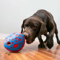 KONG Rewards Wally Ø 13cm