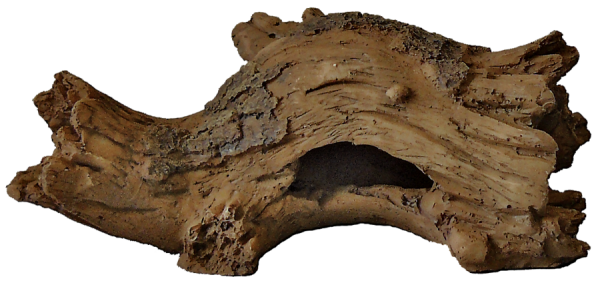 Superfish Forest Deco Wood S (18,5x11,6x9cm)
