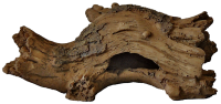 Superfish Forest Deco Wood S (18,5x11,6x9cm)