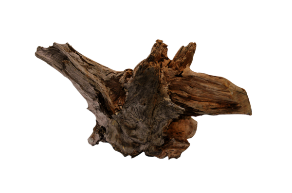 Superfish Mangrovenholz X- large (ca.40-55cm)