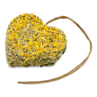 JR FARM Grainless Blüten Herzen 90g