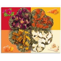 JR FARM Grainless Glücks Quartett 60g