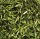 JR FARM Grüner Hafer 500g