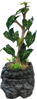 REPTO Water Dripping Tree