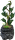REPTO Water Dripping Tree