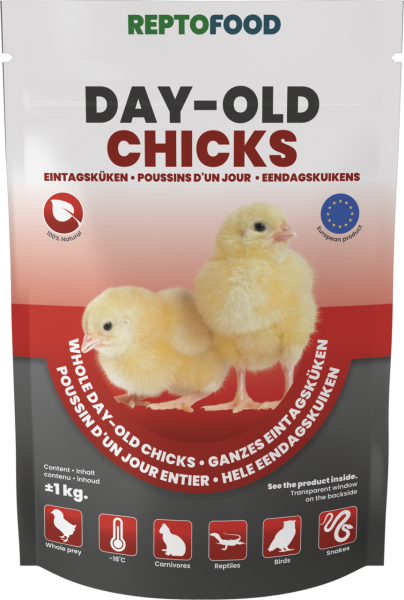 REPTO Food Eintagsküken 35-50g 20 Stück