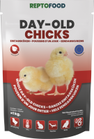 REPTO Food Eintagsküken 35-50g 20 Stück
