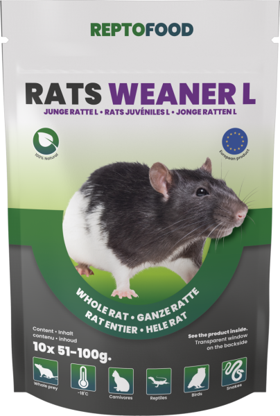 REPTO Food junge Ratten 51-100g, 10 Stück