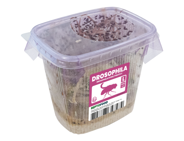 REPTO Food Drosophilia groß 500ml