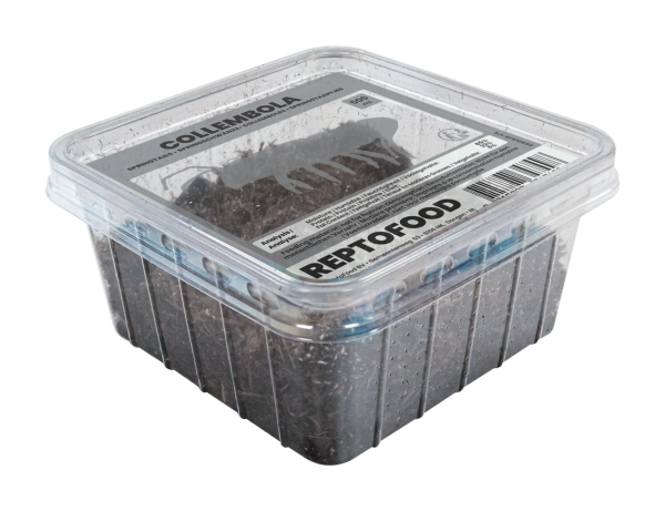 REPTO Food Springschwänze, Collembola (500ml Dose)